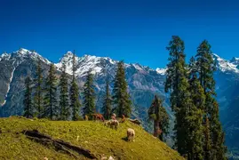 Mountains
